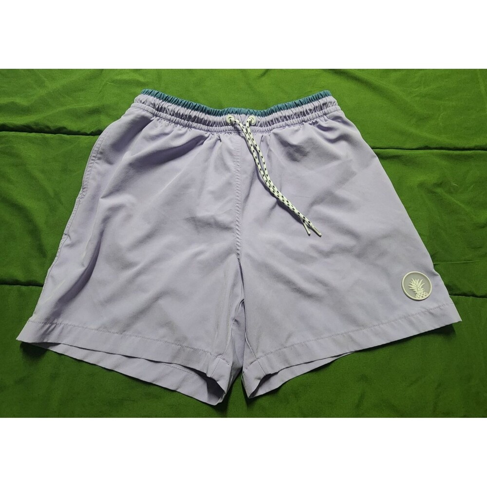 Chubbies Men's Classic Swim Trunk Purple Size M Inseam 5.5